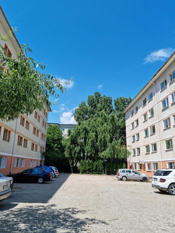Turnu Măgurele Garsoniere Aby 아파트 외부 사진